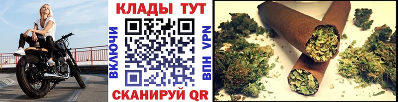 Продажа наркотиков Заречный Гашиш  Cocaine  Alpha PVP  Марихуана  Псилоцибиновые грибы  Меф 
