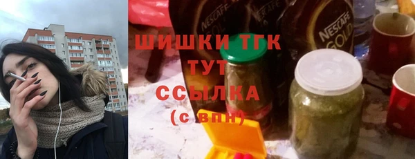 стаф Снежногорск