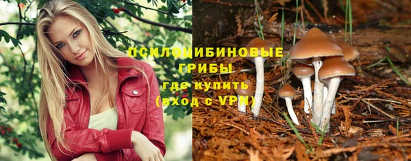 дмт Снежинск