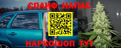 эйфоретик Владимир