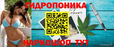 трава Владикавказ