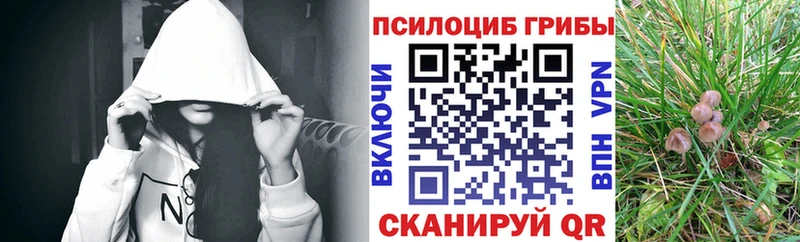 площадка клад закладки Заречный Галлюциногенные грибы мухоморы кракен
