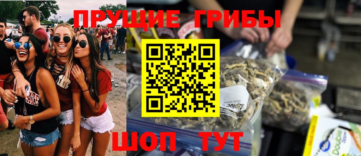 Галлюциногенные грибы Magic Shrooms Заречный